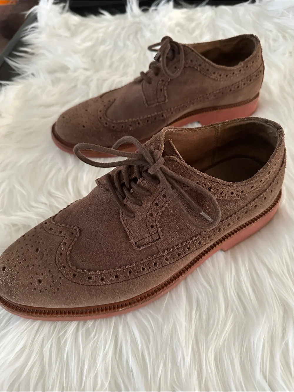 Polo by Ralph Lauren Brown Suede Wingtip Derbys